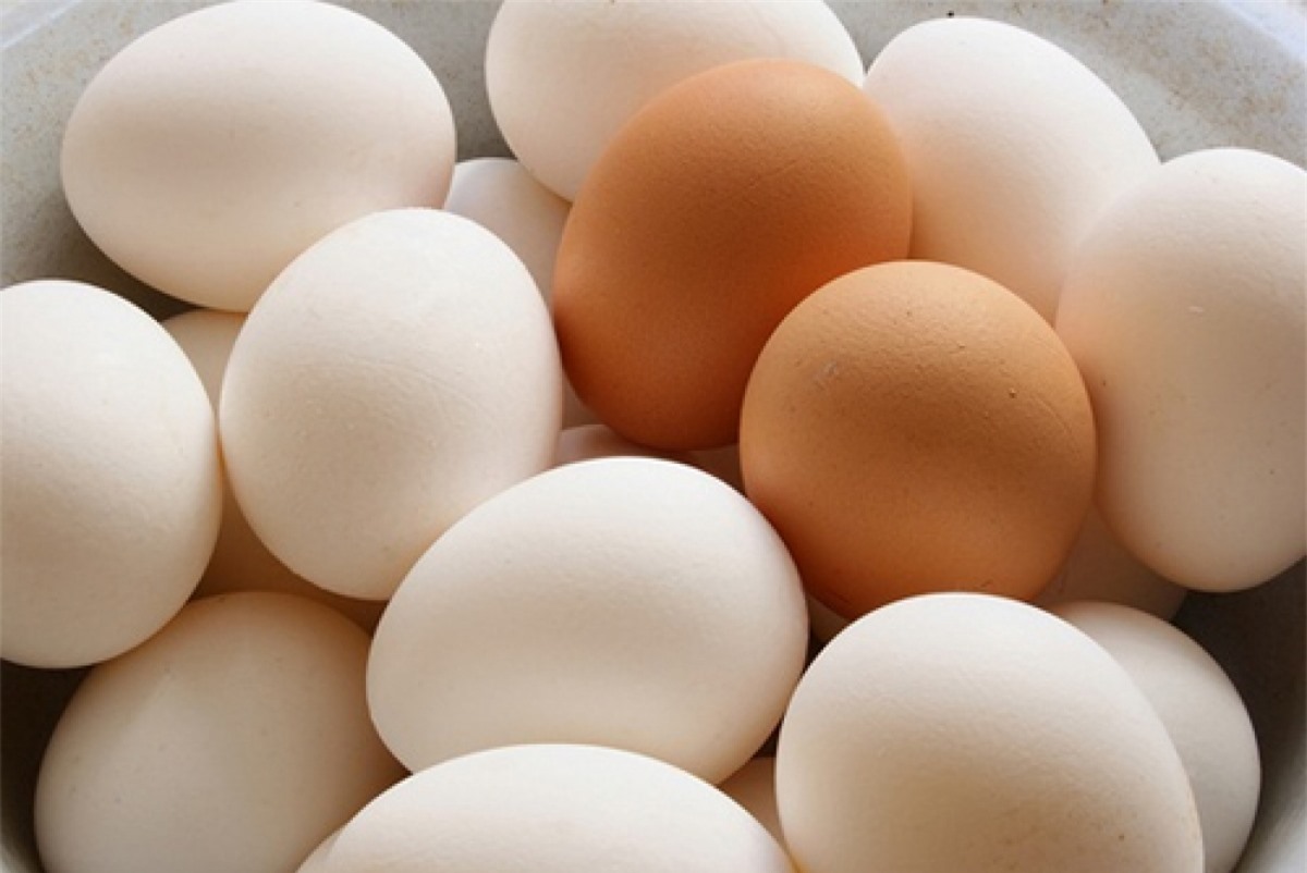 Chọn trứng có lớp vỏ ngoài bóng, mịn