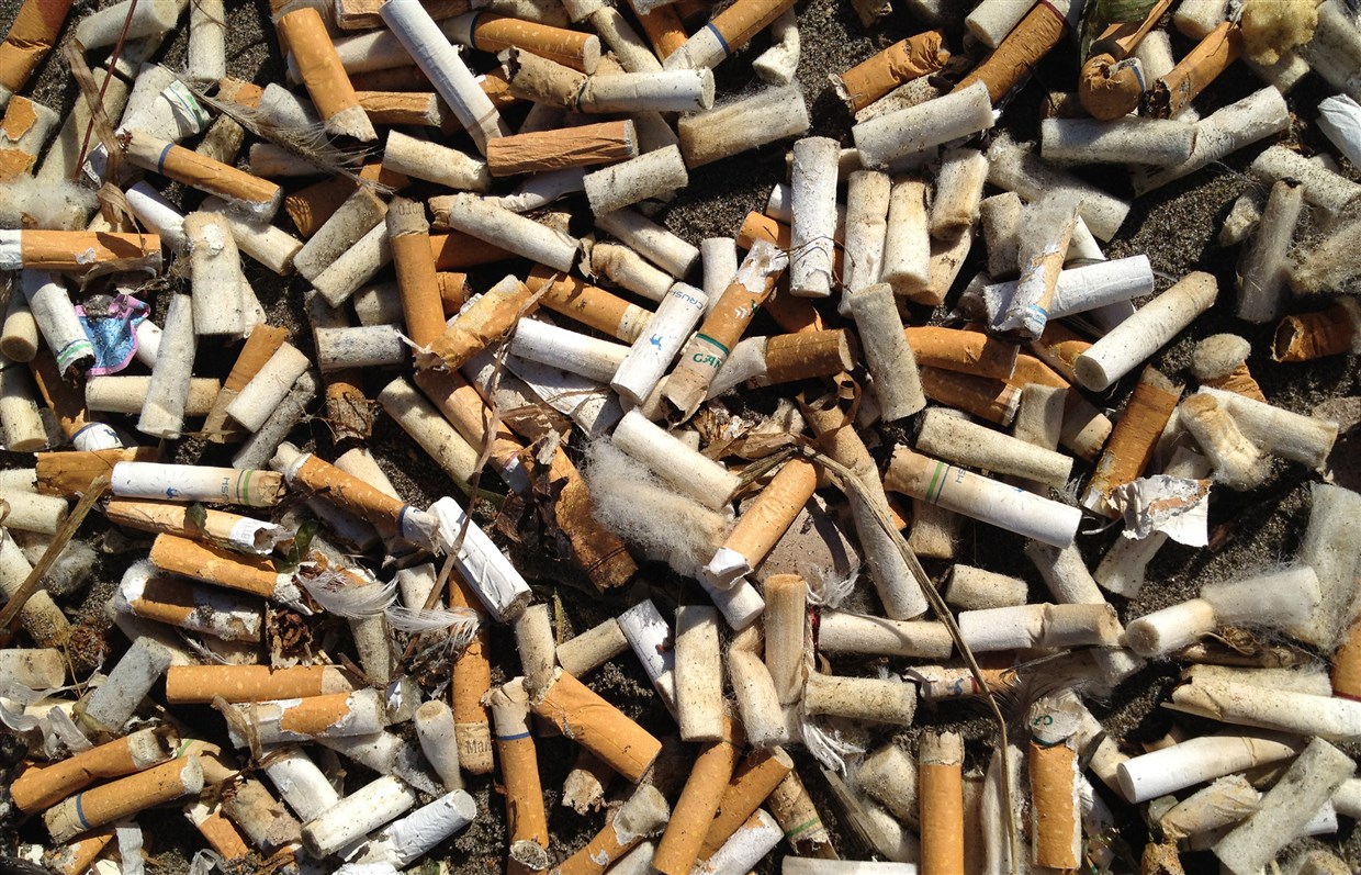 đầu lọc thuốc lá gây ô nhiễm